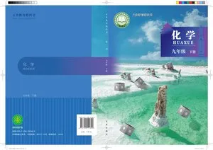 义务教育教科书·化学九年级下册